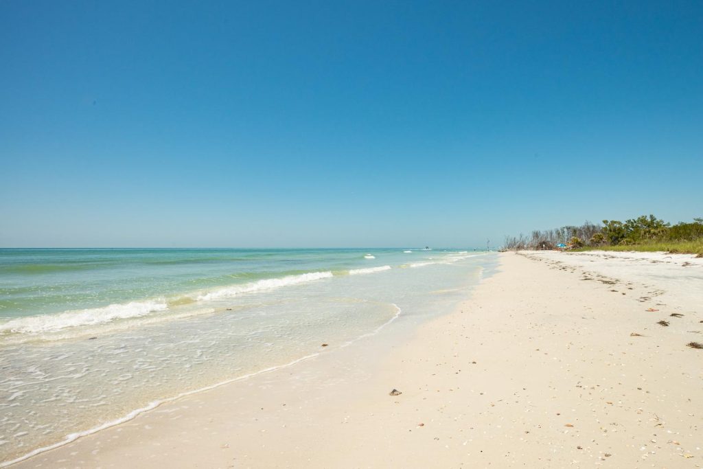 Honeymoon Island
