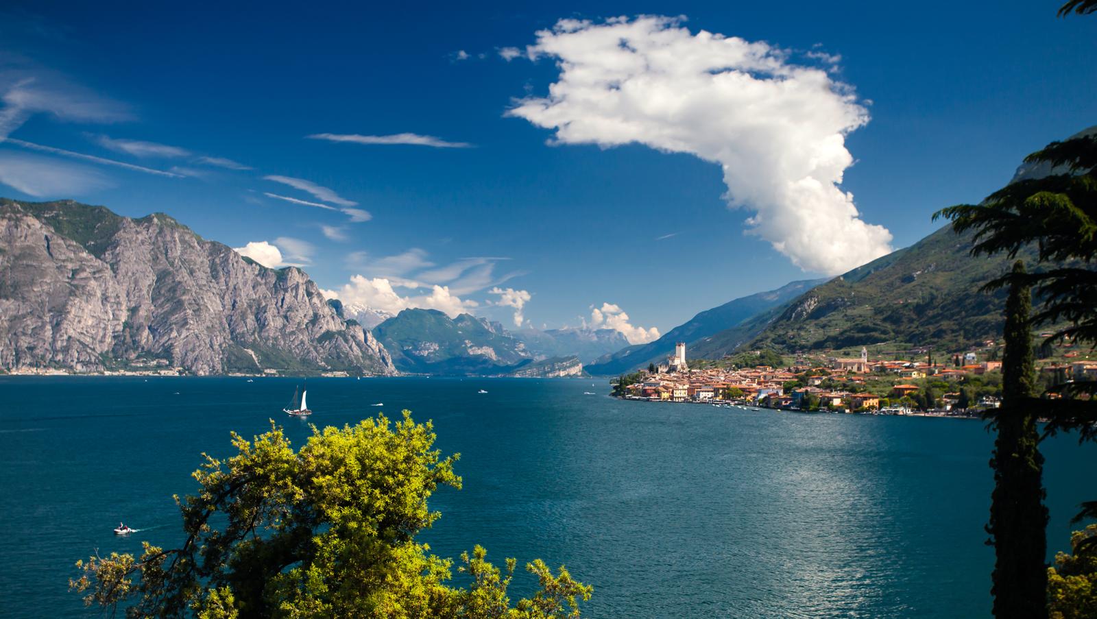 Isola dell'Olivo