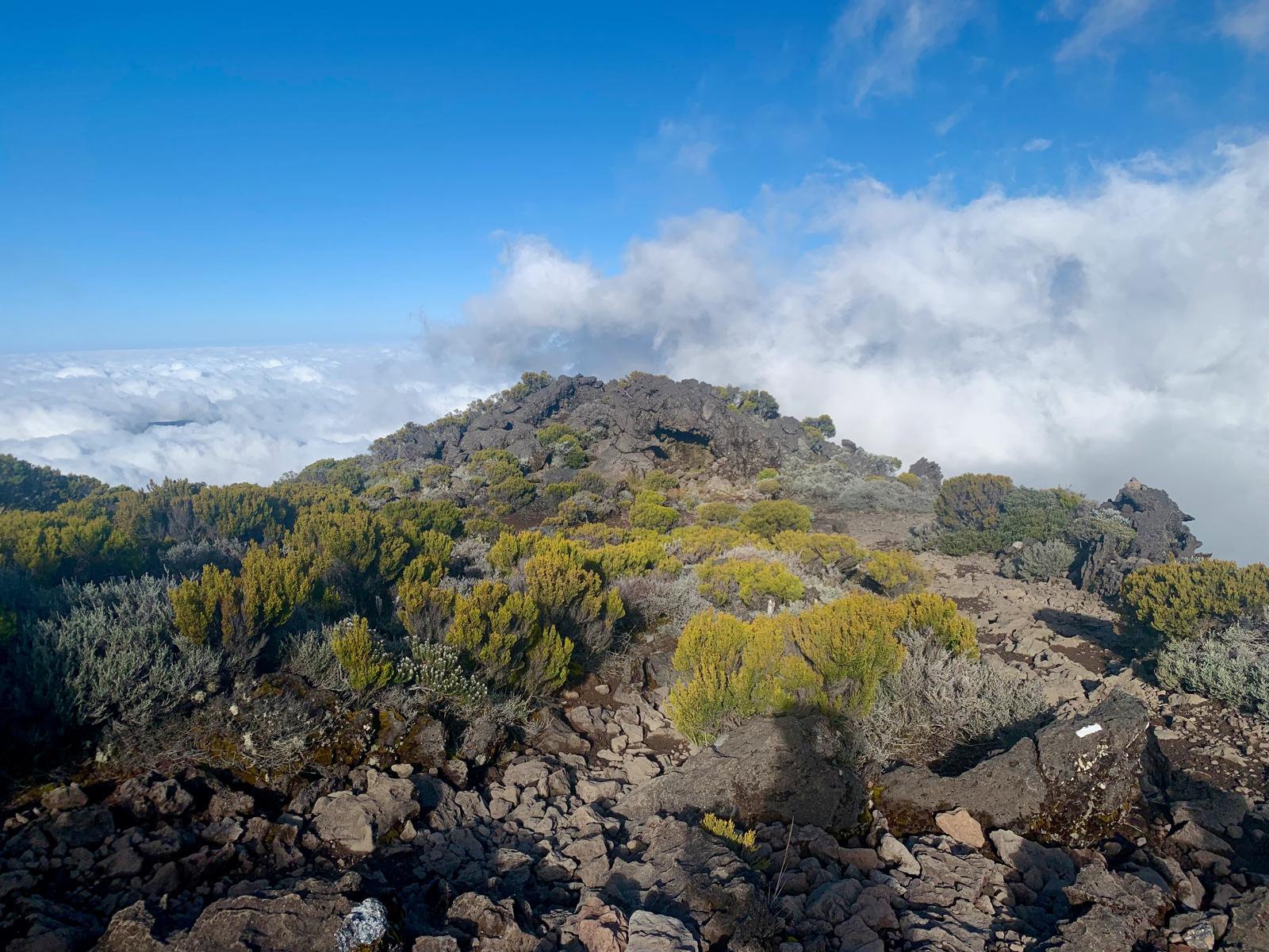 Isola di Ascensione