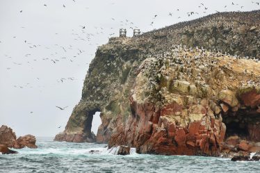 Isole Ballestas