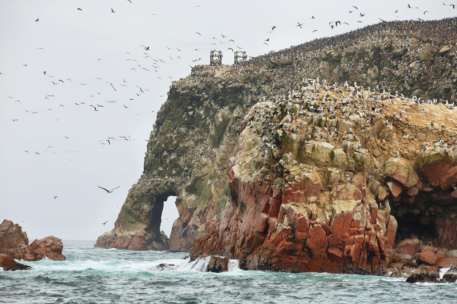 Isole Ballestas
